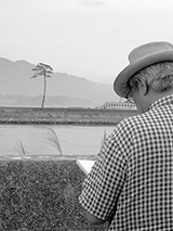 The pine tree that withstood the tsunami at Rikuzen Takata